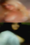 Horny girls Artesia
